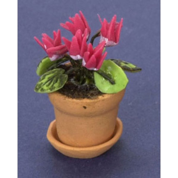 FCAB8183HP Cyclamen in Pot for Dollhouse Miniatures - Hot Pink