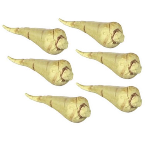 FCA2495 White Radish for Dollhouse Miniature - 6 Piece