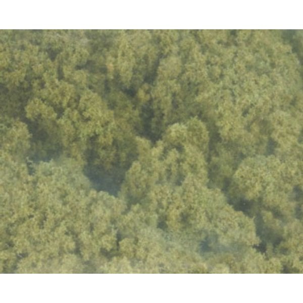 WDSFC181 Clump Foliage for Dollhouse Miniature - Burnt Grass
