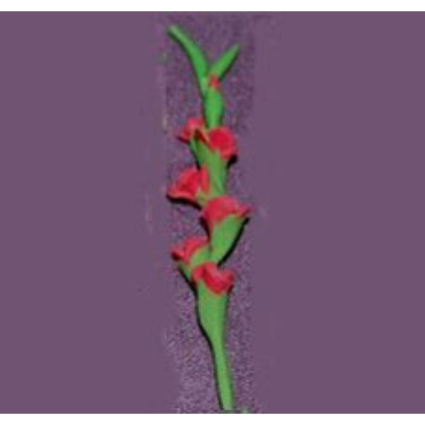 RND58 Glads for Dollhouse Miniature - Red