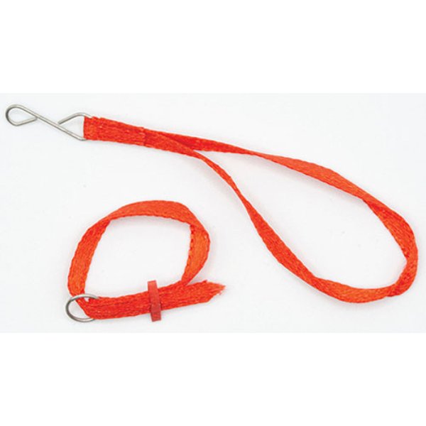 IM65472 Red Dog Leash & Collar for Dollhouse Miniature