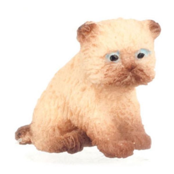 FCA4161SB Persian Kitten for Dollhouse Miniature - Siamese Brown