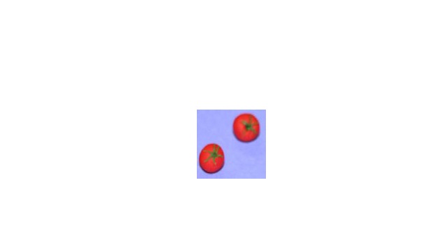 RND131 Tomatoes for Dollhouse Miniature, Set of 3