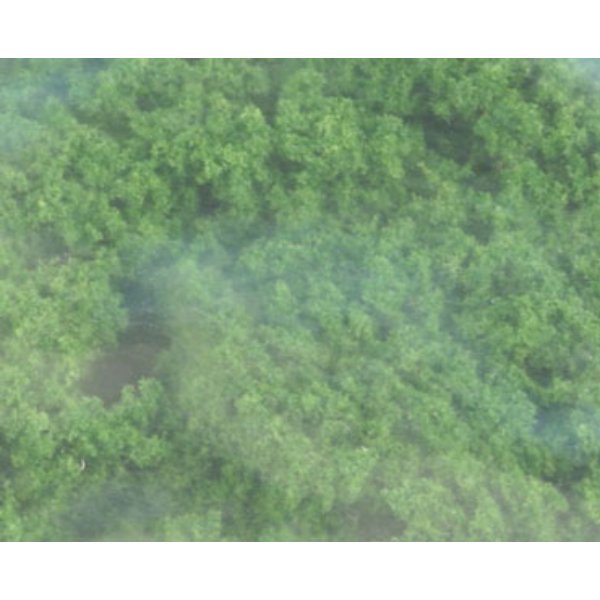 WDSFC183 Clump Foliage for Dollhouse Miniature - Medium Green