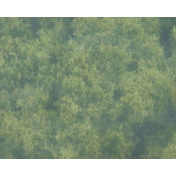WDSFC682 Clump Foliage for Dollhouse Miniature - Light Green