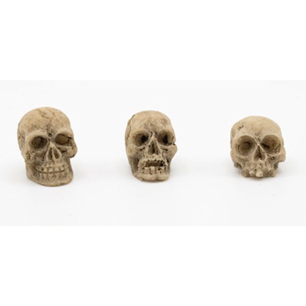 ART423 Skull for Dollhouse Miniature - Assorted Color