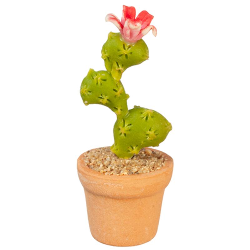 AZG6353 Cactus for Dollhouse Miniature