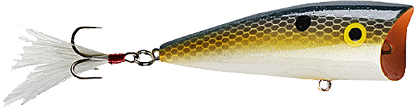 2.5 in. Pop-R 0.25 oz, Foxy Shad