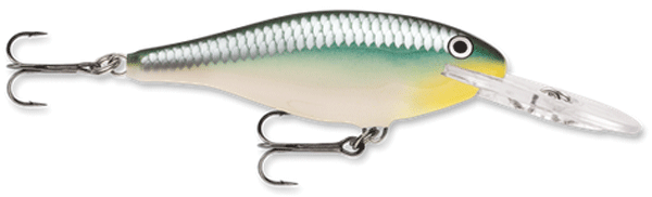 Picture of Rapala SR07-BBH 2.75 in. Shad Rap Hard Bait&#44; Blue Back Herring