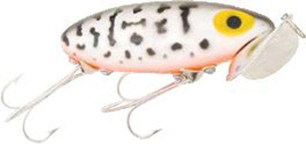 600-09 2.5 in. Jitterbug - Coach Dog & Orange Belly