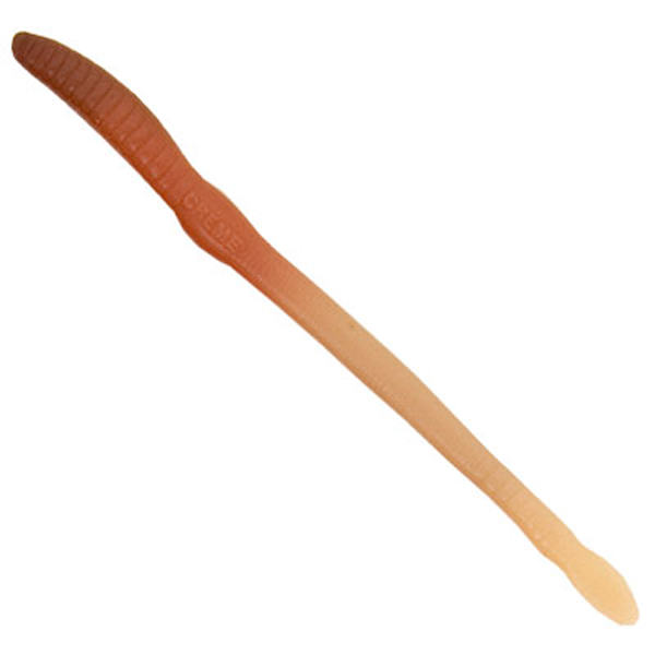 8 in. Scoundrel Worms, Live - Pack of 20