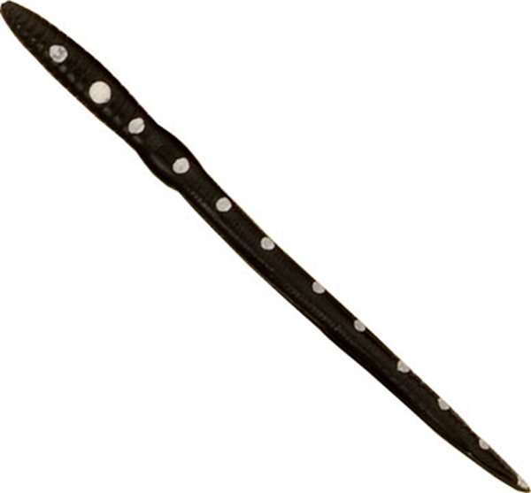 8 in. Scoundrel Worm, Black with White Dots - Pack of 9