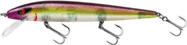 ADR5282 Perfect 10 Rogue-Lady Fishing Lure