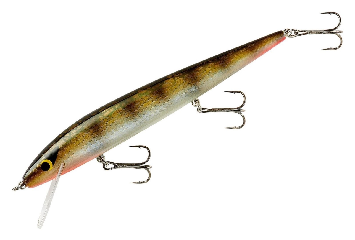 Perfect 10 Rogue Jerk Bait, Lerch