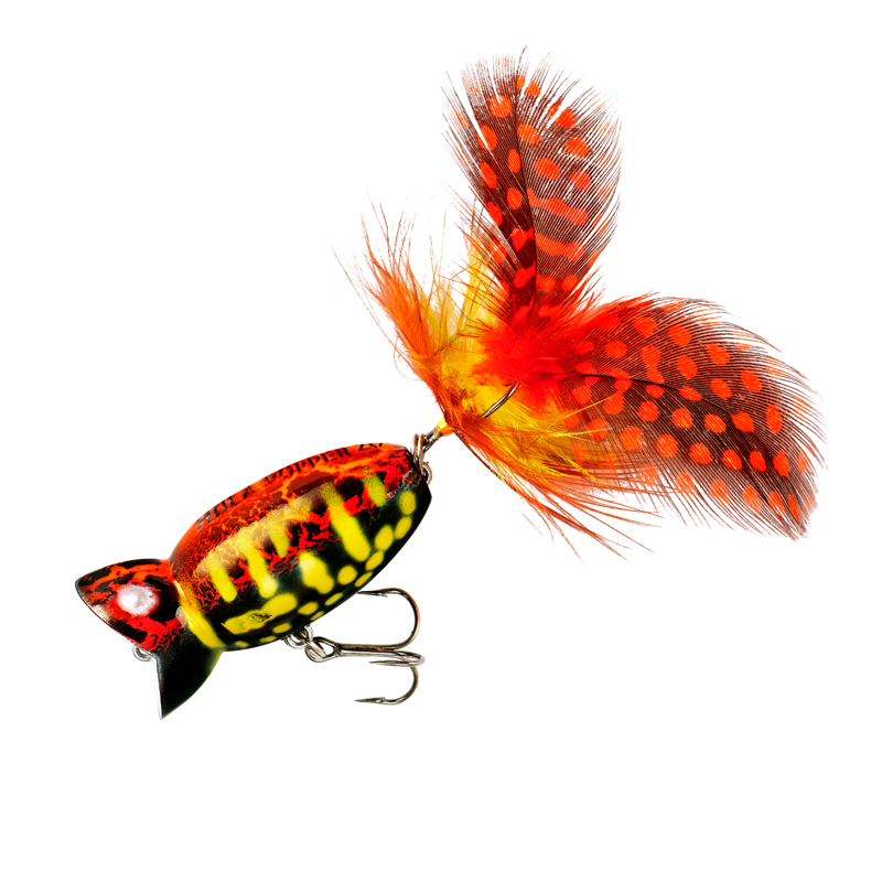 2 & 2 in. Hula Popper Coach Hog