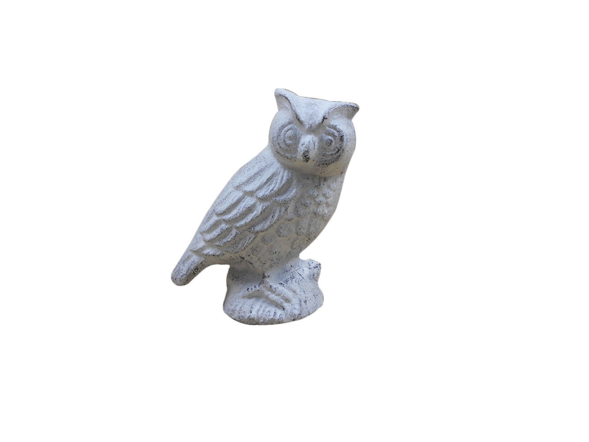 6 x 3 x 5 in. Whitewashed Cast Iron Owl Metal Door Stop