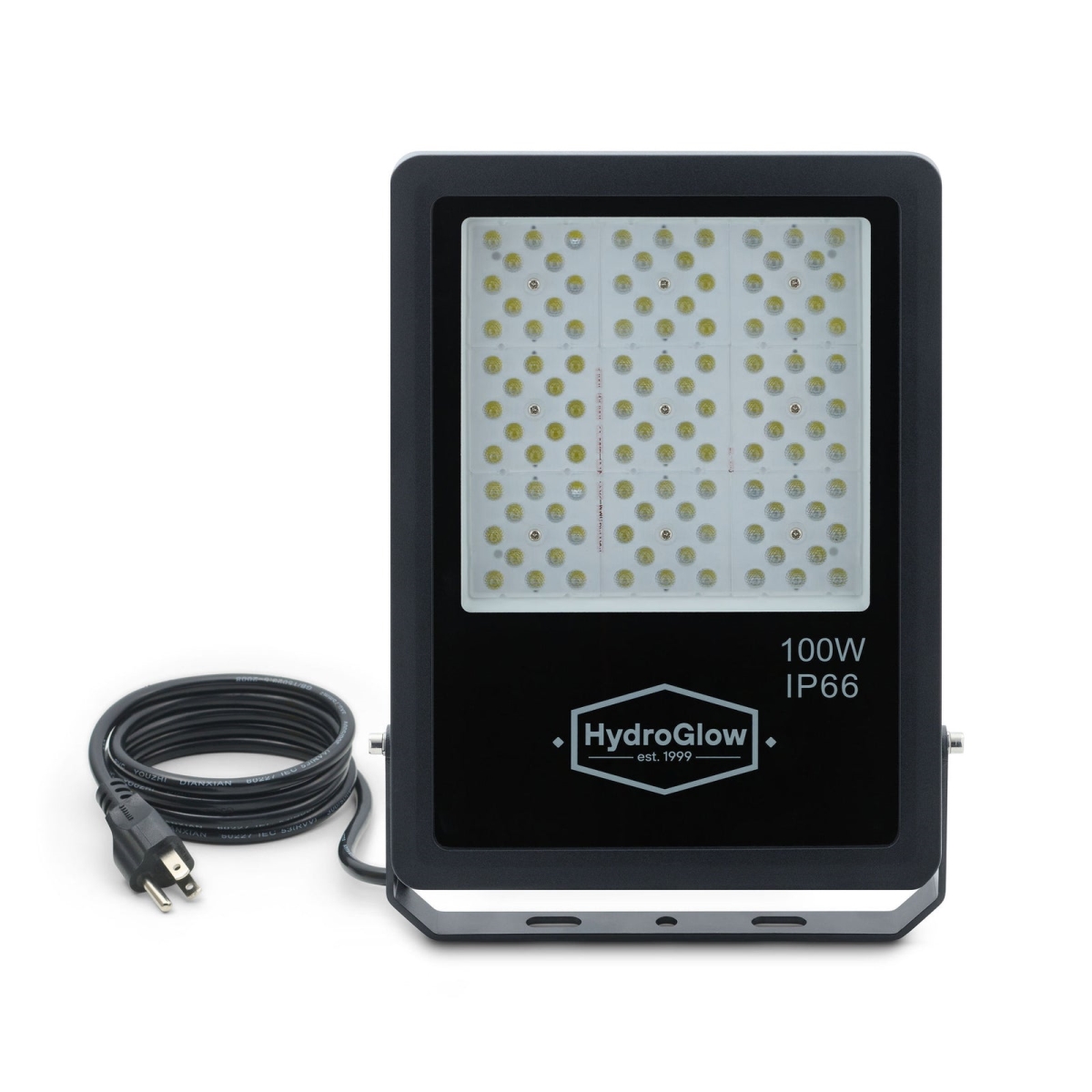 FL100W 100W White Flood Light