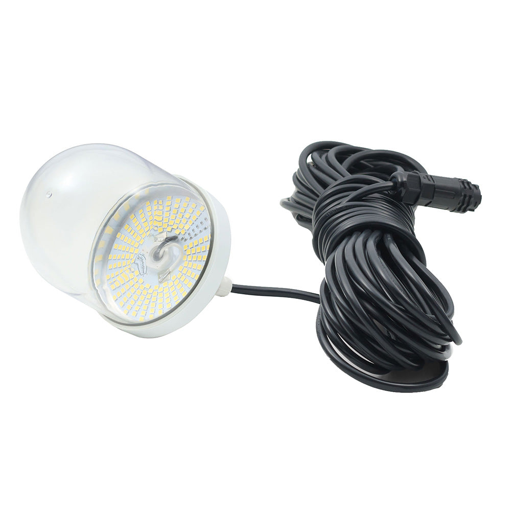 SF100DW 100W White Daylight Sea Floor Light