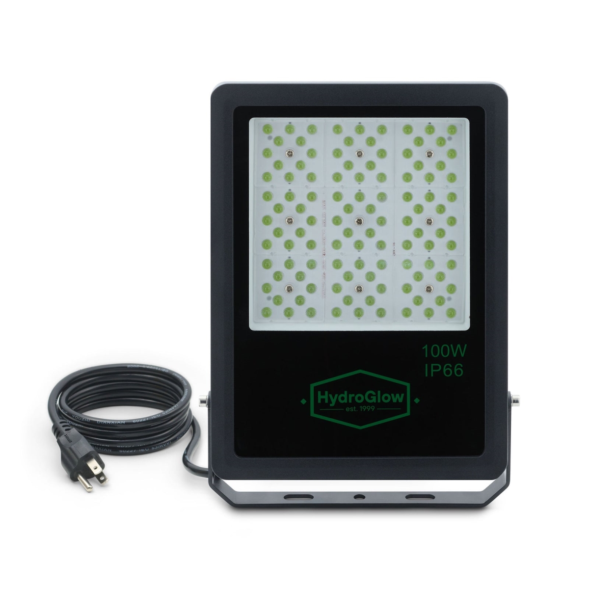 FL100G 100W Green Flood Light