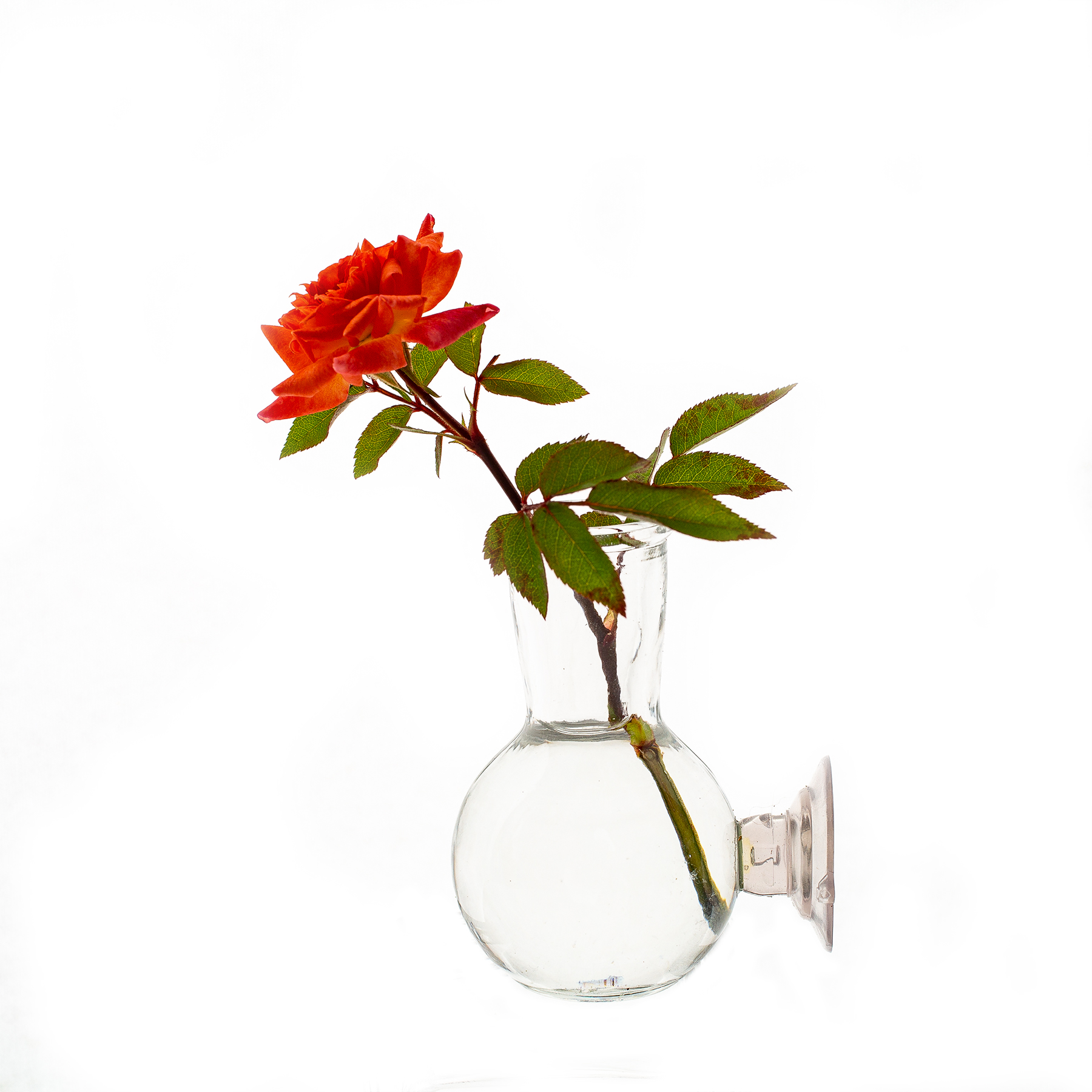 3 in. Tall Floral Illusion