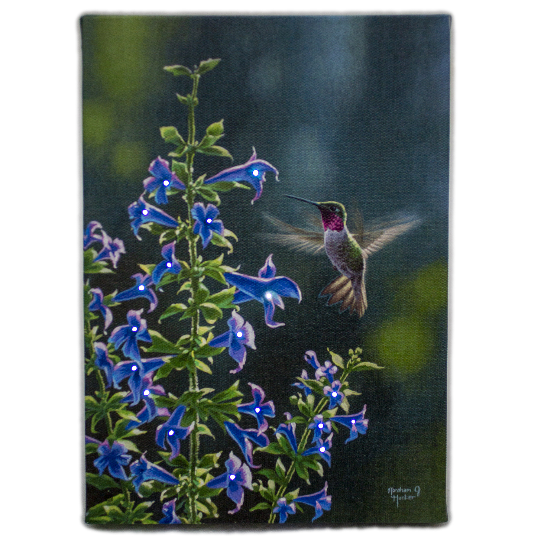1207 Lighted Hummingbird Print