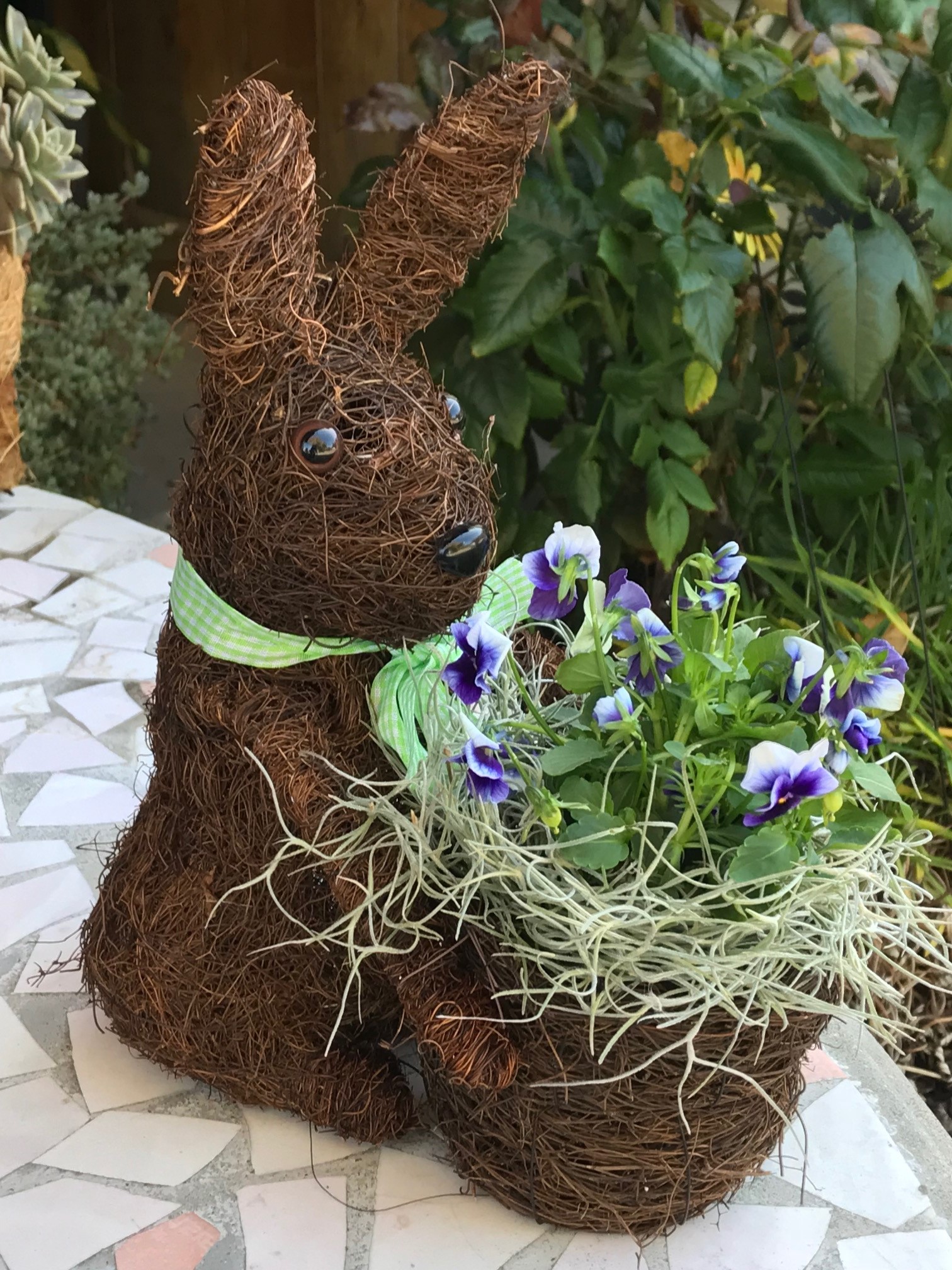 Picture of Ultimate Innovations 3081 Coco Animal Bunny