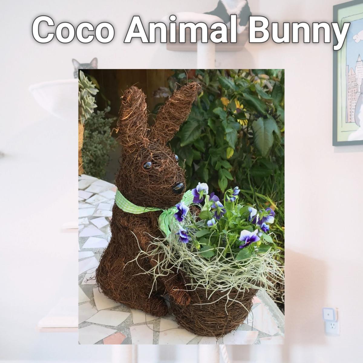 Picture of Ultimate Innovations 3081 Coco Animal Bunny