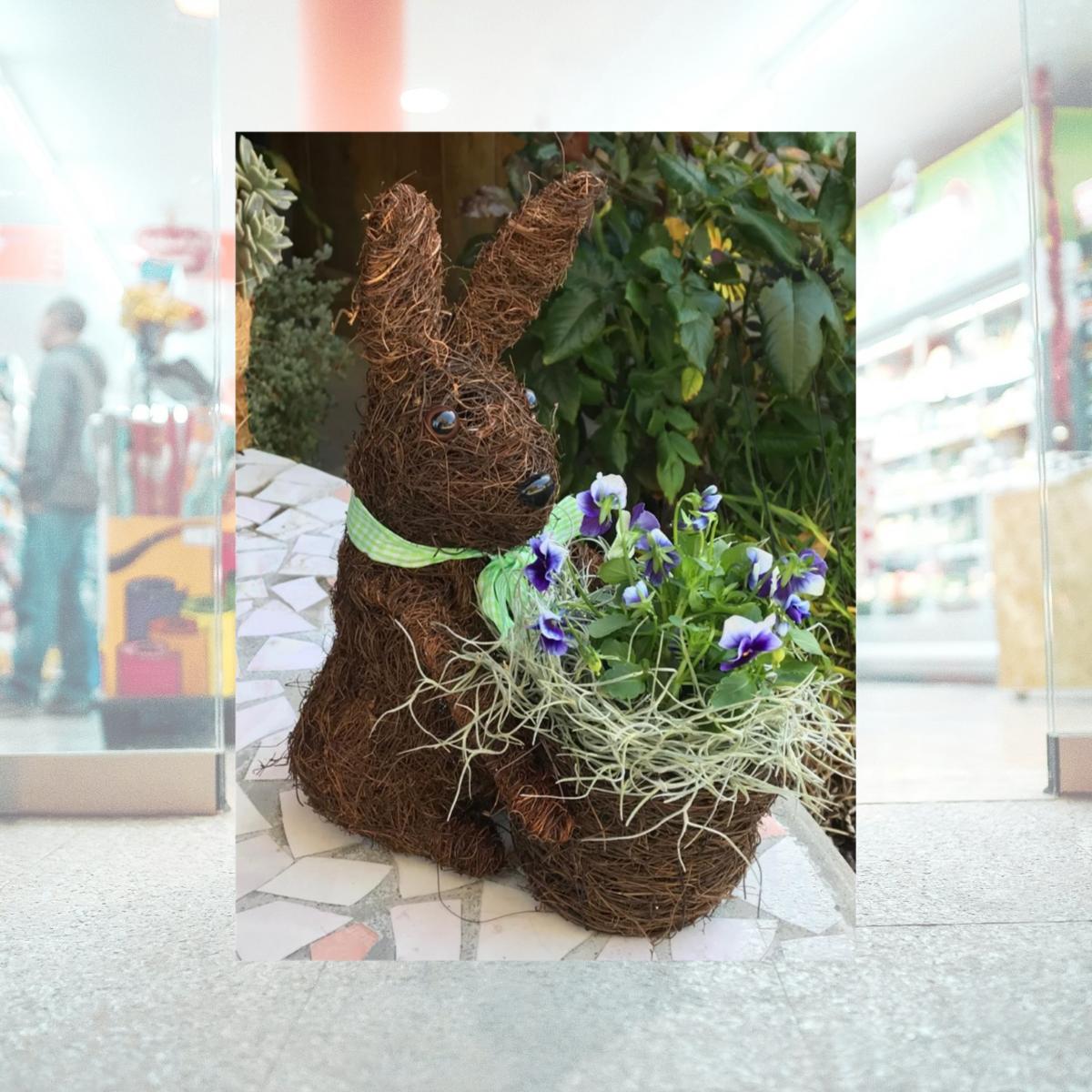 Picture of Ultimate Innovations 3081 Coco Animal Bunny