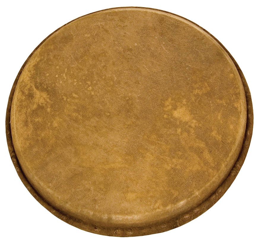 755716 Goatskin Replacement Djembe Head