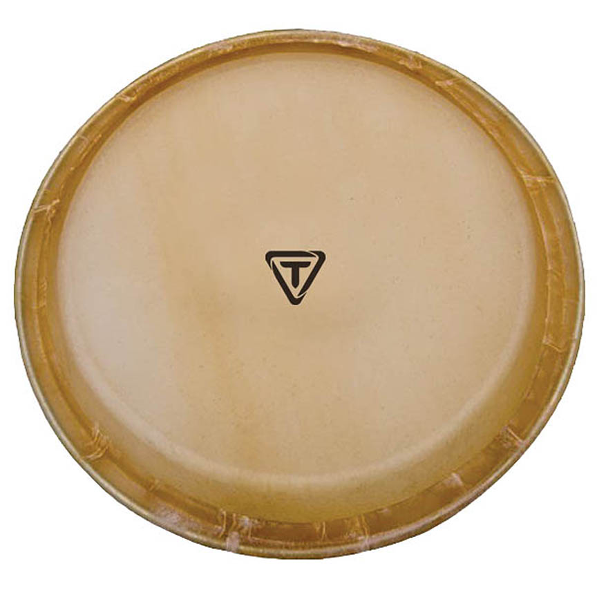 755408 11.75 in. Artist Series Replacement Conga Head