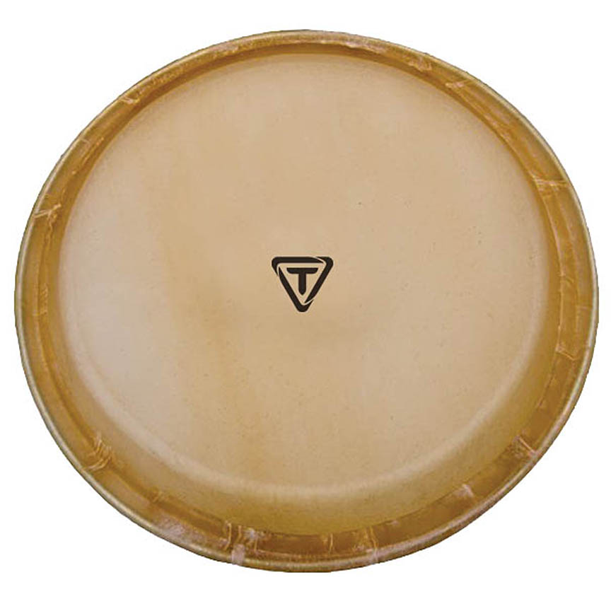 755409 12.5 in. Artist Series Replacement Conga Head