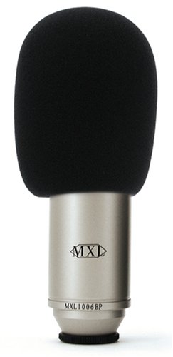 WS-001 Windscreen for Large Diaphragm Microphones