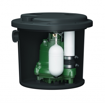 0.5 in. NPT Series Drain Pump