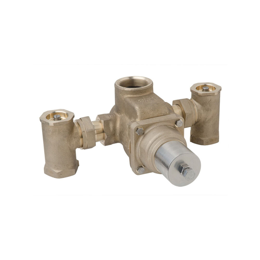 0.5 GPM MaxLine  Water Temperature Thermostatic Mixing Valve Hand Shower