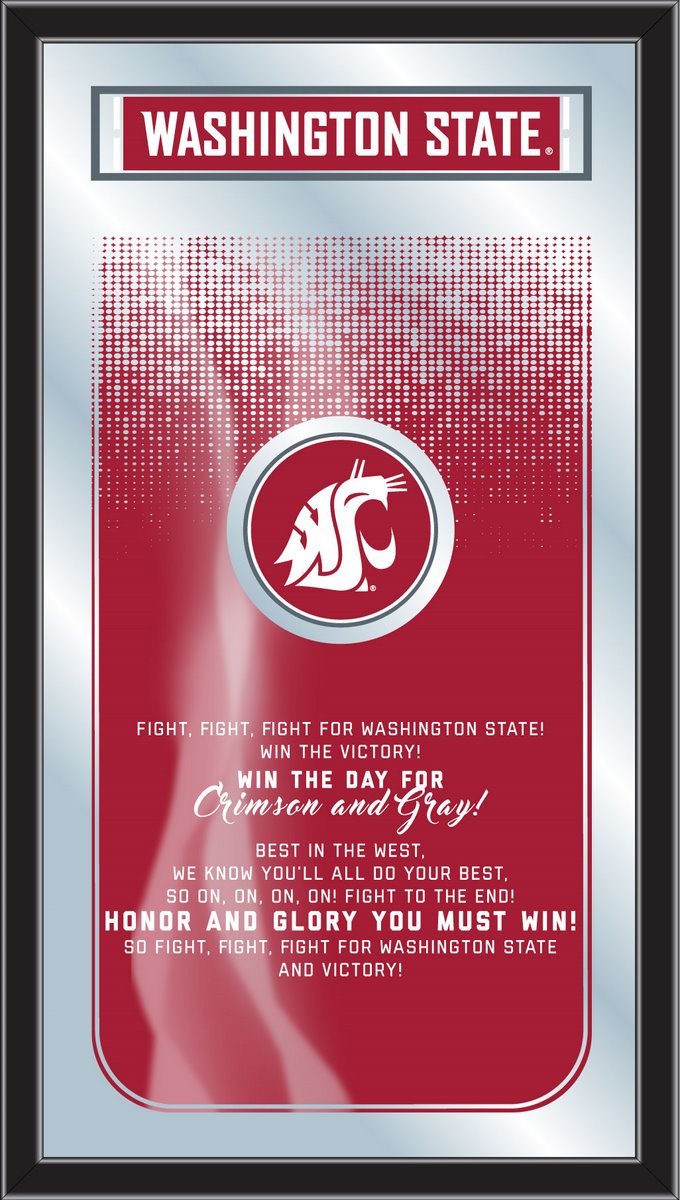 MFghtWashSt NCAA Washington State Fight Song Logo Mirror, 26 x 15 in.