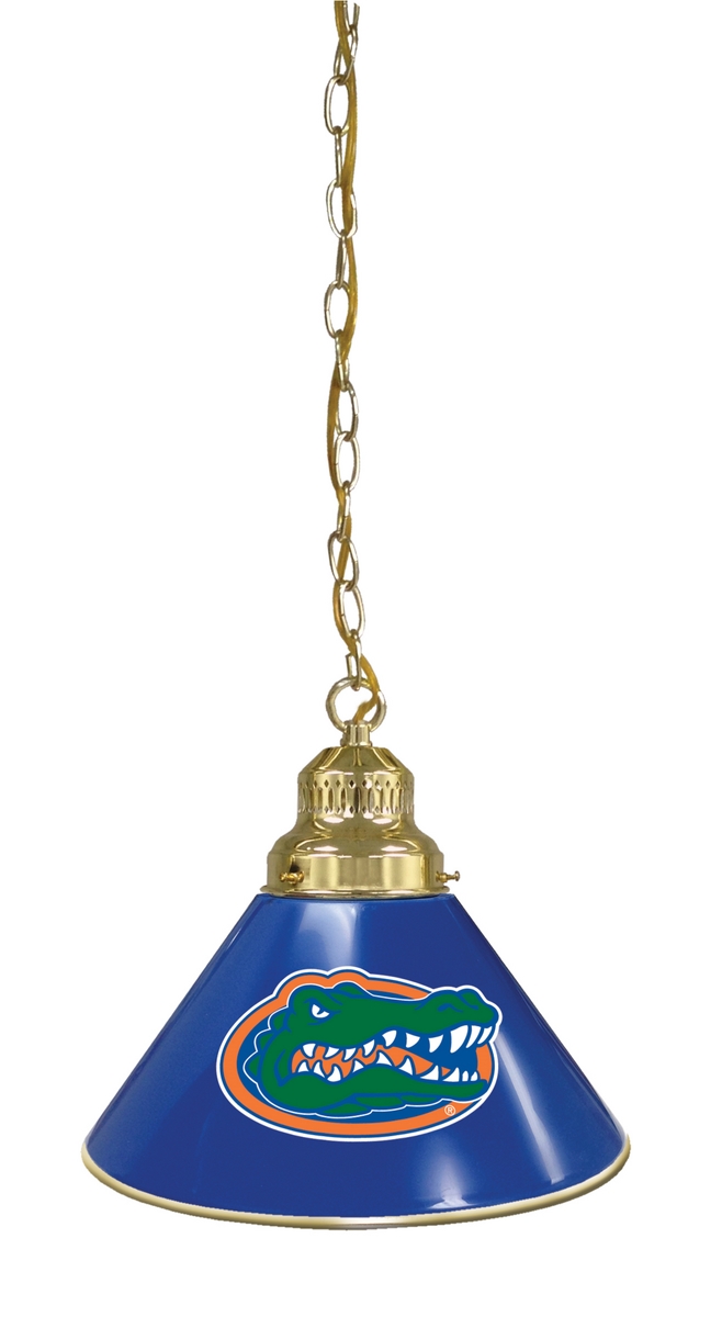 Picture of Holland Bar Stool BL1BRFlorUn NCAA Florida A&M University Single Shade Pendant Light - Brass