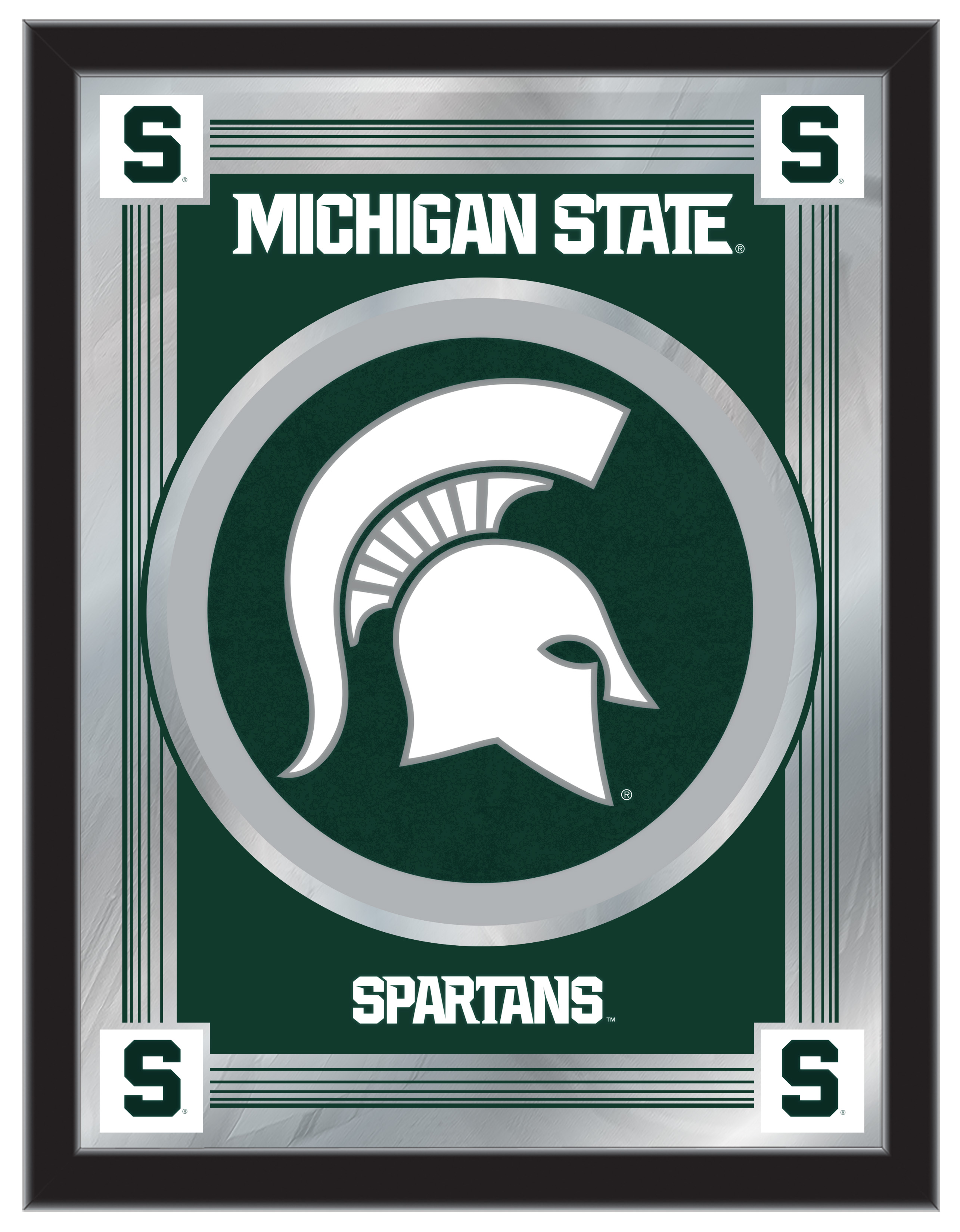 MLogoMichSt Michigan State 17 x 22 in. University Logo Mirror