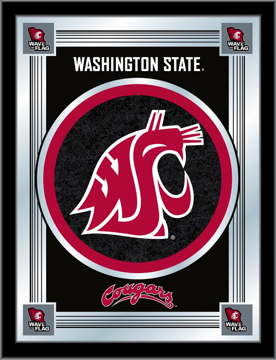 MLogoWashSt Washington State 17 x 22 in. University Logo Mirror