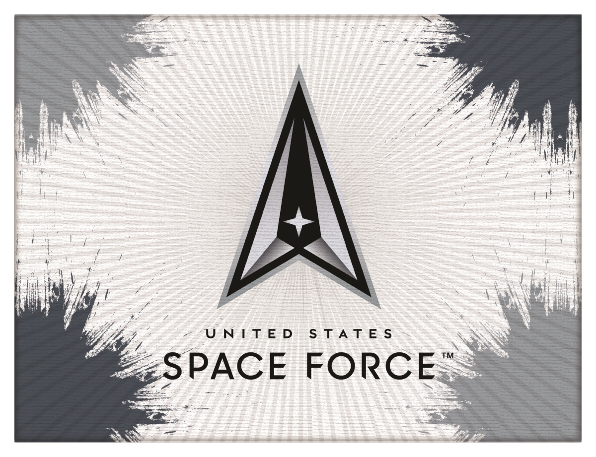 LCnvs2432SpaFor United States Space Force 24 x 32 in. Canvas Wall Art