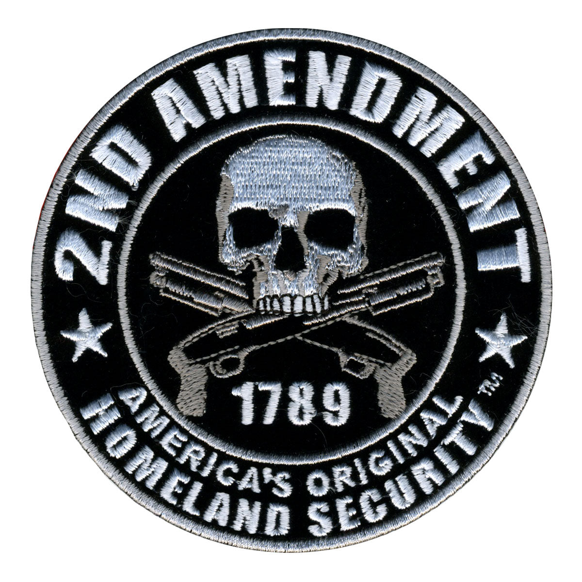 PPV1008 4 x 4 in. 2nd Amendment Americas Original Homeland Security Hook Back Patch - Multi Color