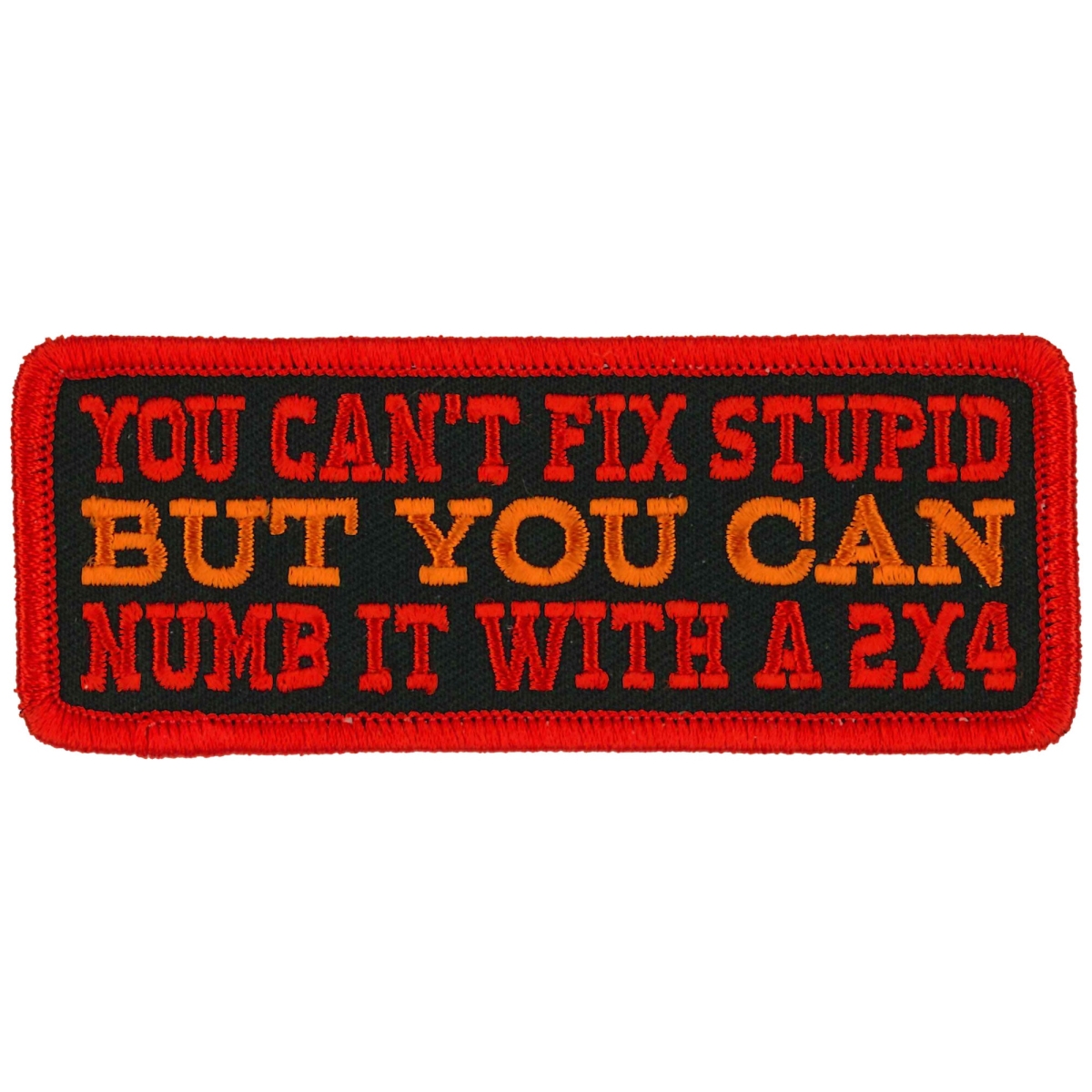 PPL9996 4 x 2 in. You Cant Fix Stupid Patch - Multi Color