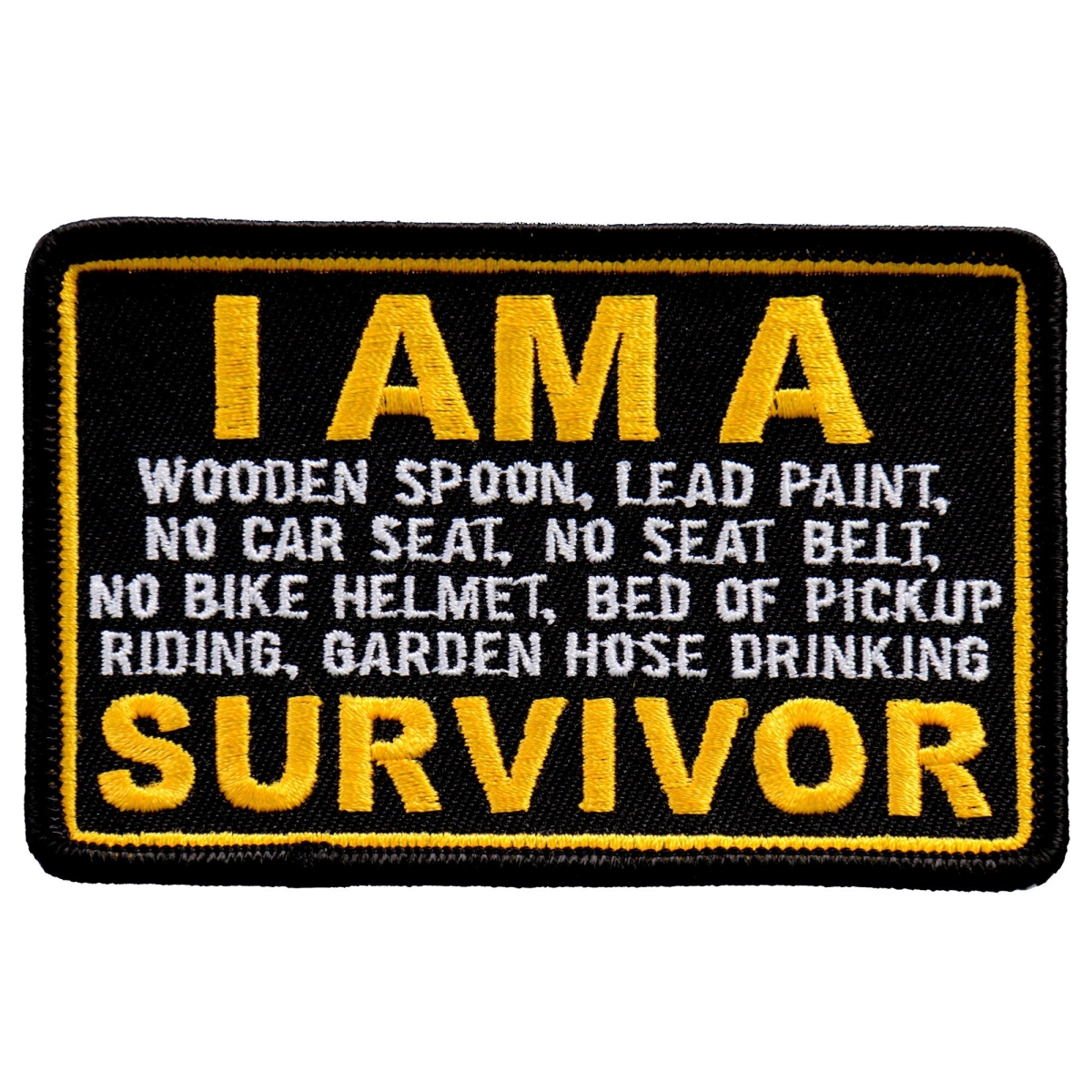 PPL9746 4 x 2 in. I Am A Survivor Patch - Multi Color