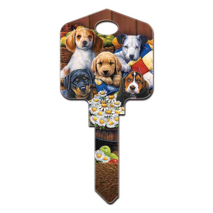 KW-AC2 Artisan Puppies Key Blank