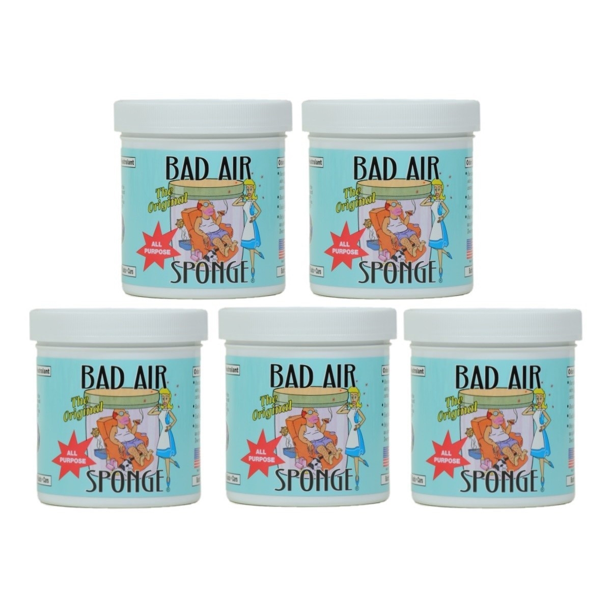BAS-1LB-5PK  with Deghost Formula, Odor Neutralizer & Eliminator, 14 Ounces (Pack of 5)