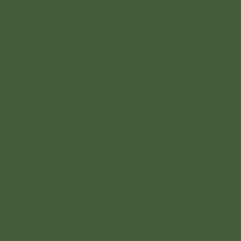 1 oz Acrylic Model Paint Bottle, Russian Green Modern