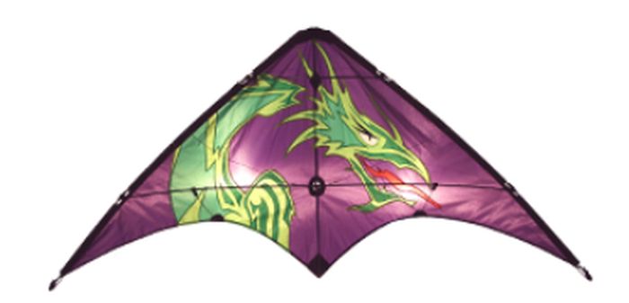 Learn To Fly Dragon Kite
