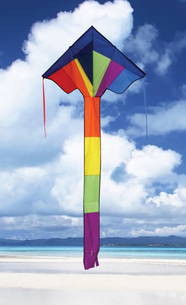 33 in. Rainbow Best Flier