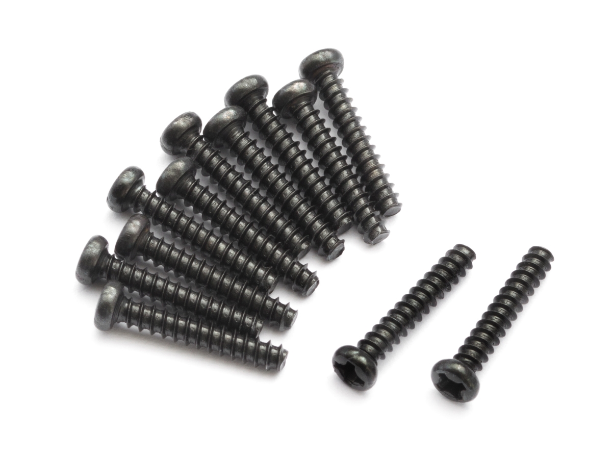 2 x 12 mm Pan Head Self Tapping Screws with PBHO Slayer