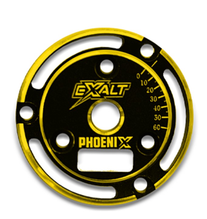 EXA0233G Black Phoenix Endplate with Gold Chamfered Edges
