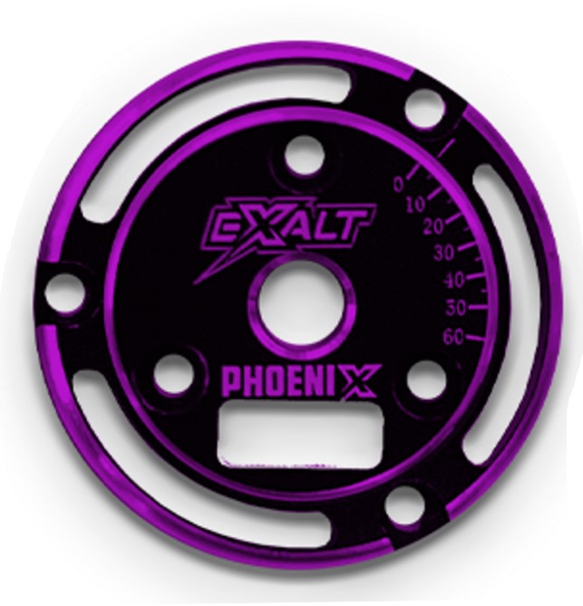 EXA0233P Phoenix Endplate with Chamfered Edges, Black & Purple